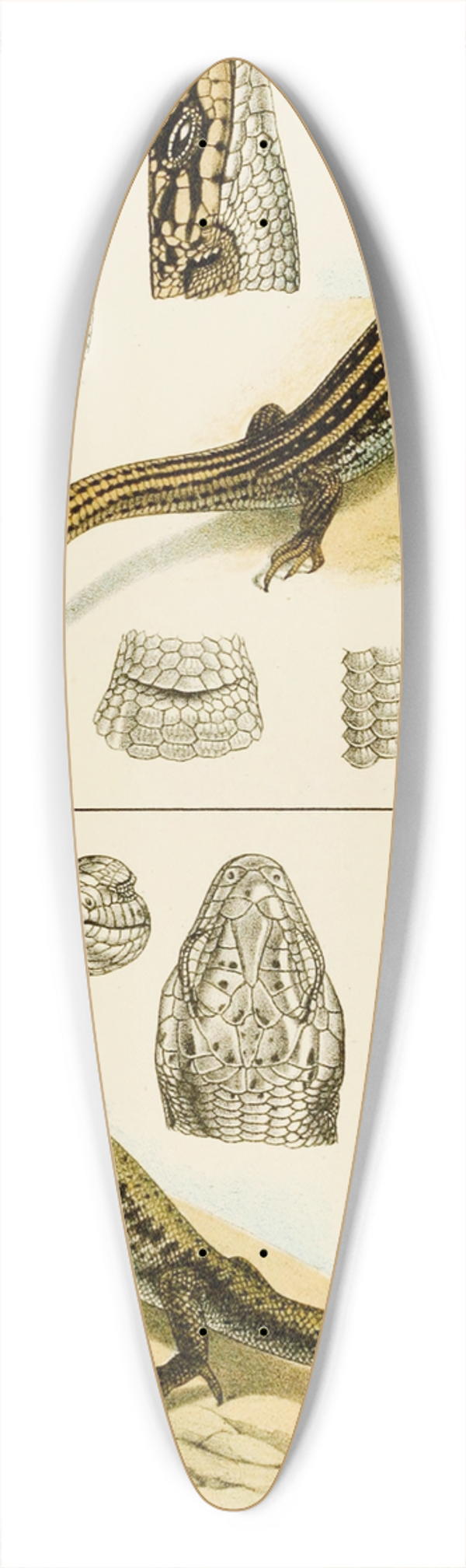 Frederick McCoy - Reptiles VIII 39.3 inch art pintail longboard deck