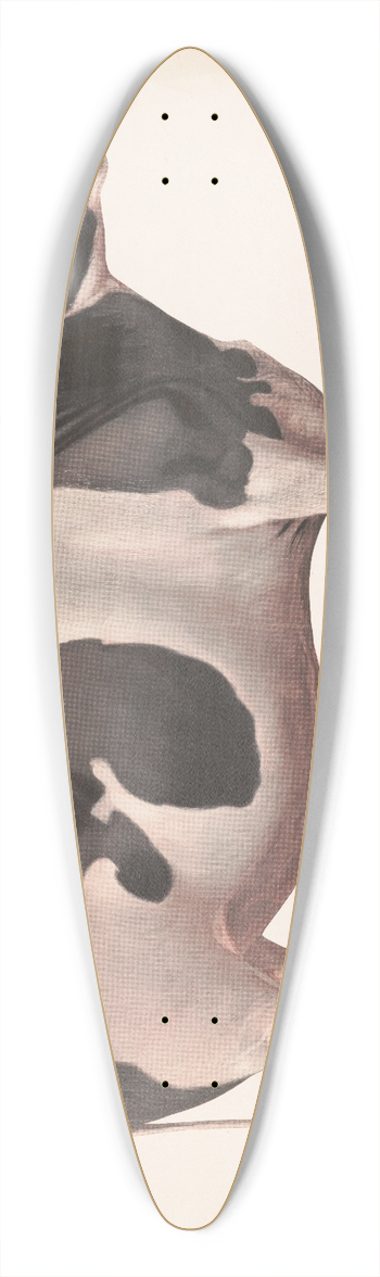 Fred S. Tolman - Colantha Johanna lad 39.3 inch art pintail longboard deck