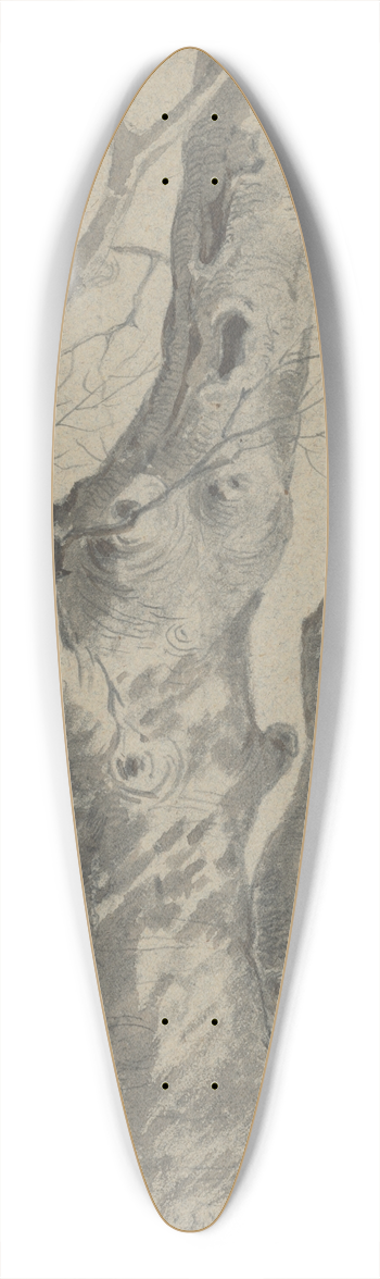 Friedrich Carl von Scheidlin - Study of a Knotted Tree Trunk 39.3 inch art pintail longboard deck