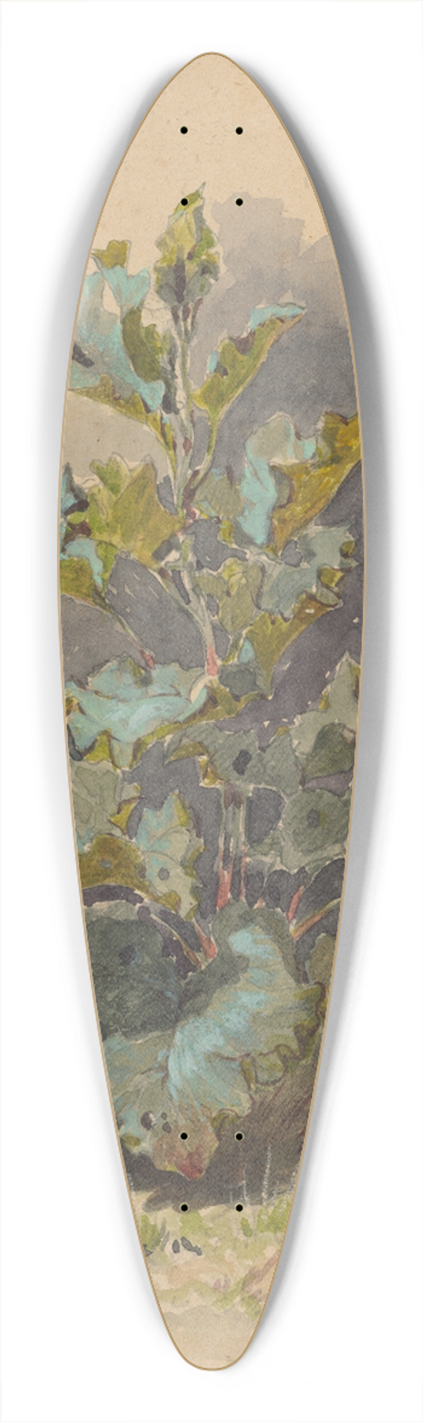 Friedrich Carl von Scheidlin - Study of Broadleaved Plant 39.3 inch art pintail longboard deck