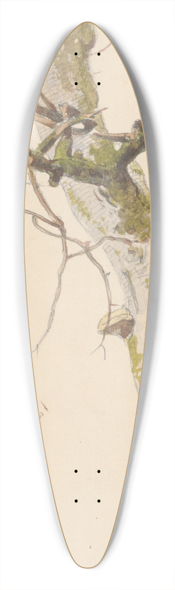 Friedrich Carl von Scheidlin - Study of Tree Trunk with Branches and Mushrooms 39.3 inch art pintail longboard deck