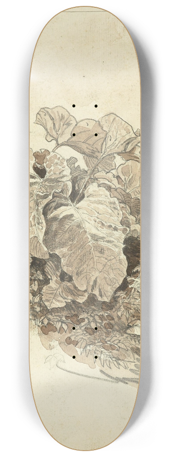 Carl Wagner - Huflattich 8.25 inch art skate deck