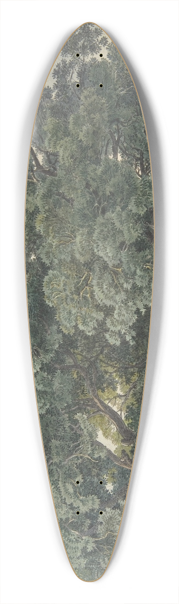 Friedrich Salath - Italian Landscape with Trees 39.3 inch art pintail longboard deck
