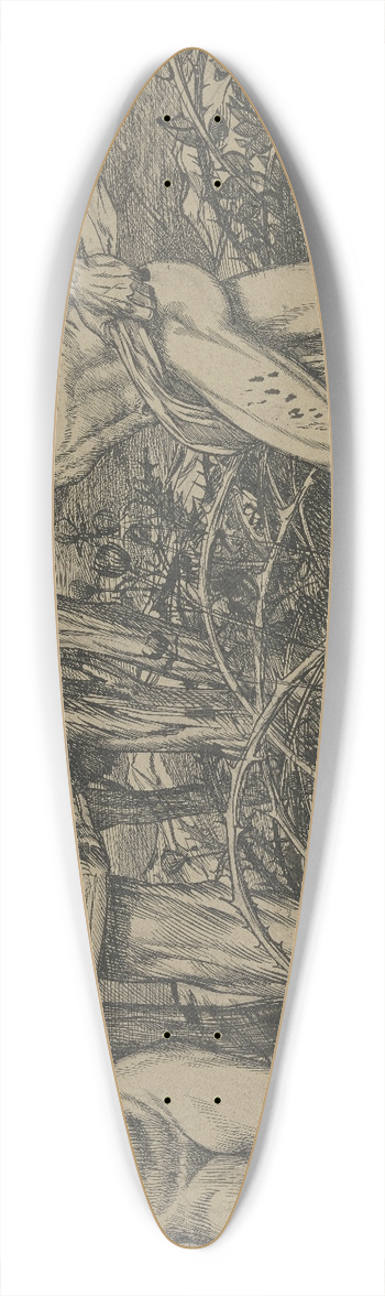 Fritz Boehle - The pursuit of happiness 39.3 inch art pintail longboard deck
