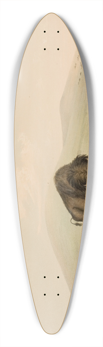 George Catlin - Buffalo Hunt, White Wolves Attacking A Buffalo Bull 39.3 inch art pintail longboard deck