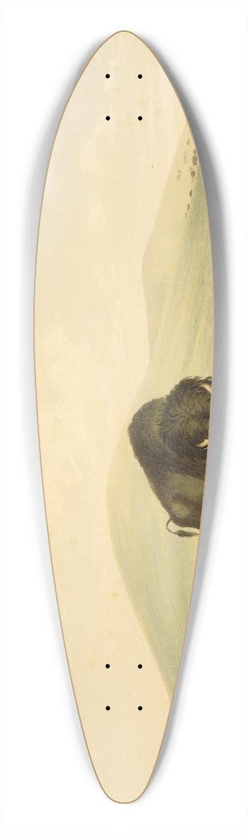 George Catlin - Buffalo Hunt; White Wolves Attacking Buffalo Bull 39.3 inch art pintail longboard deck
