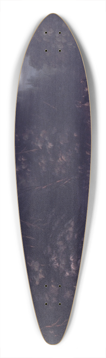 George Catlin - Deer Hunting By Torchlight In Bark Canoes 39.3 inch art pintail longboard deck