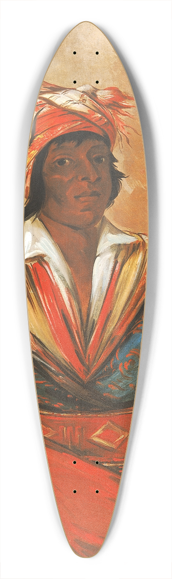 George Catlin - Kt-tee-o-tb-bee, How Did He Kill, a Noted Brave 39.3 inch art pintail longboard deck