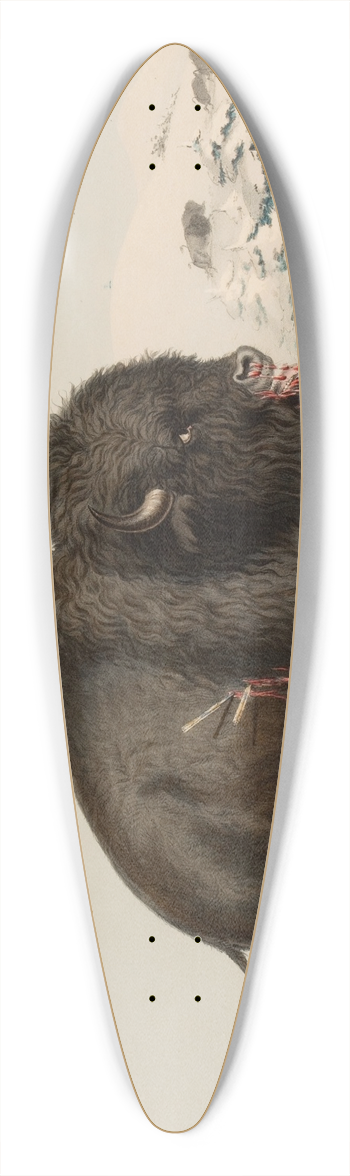 George Catlin - Wounded Buffalo Bull 39.3 inch art pintail longboard deck