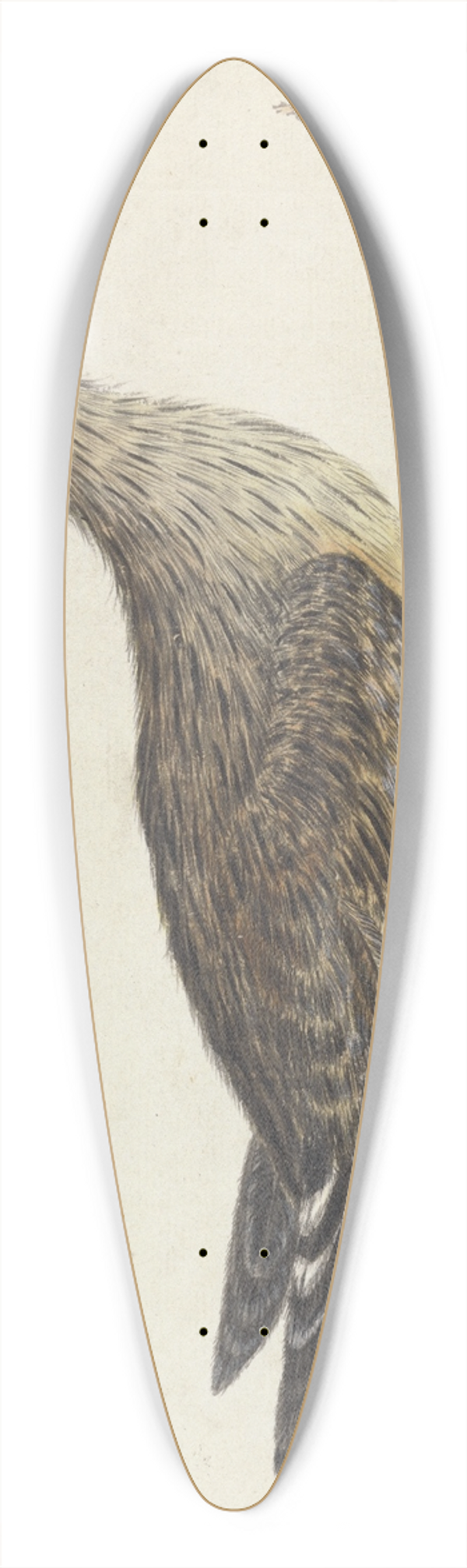 George Edwards - A Stone Curlew 39.3 inch art pintail longboard deck