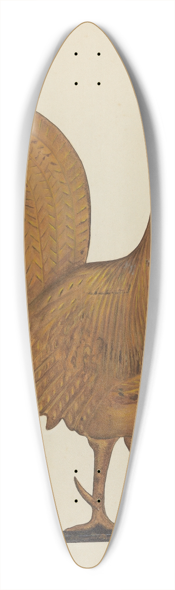 George File - Weather Vane 39.3 inch art pintail longboard deck