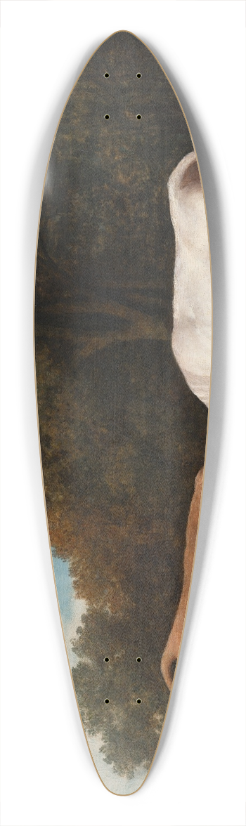 George Stubbs - Bulls Fighting 39.3 inch art pintail longboard deck