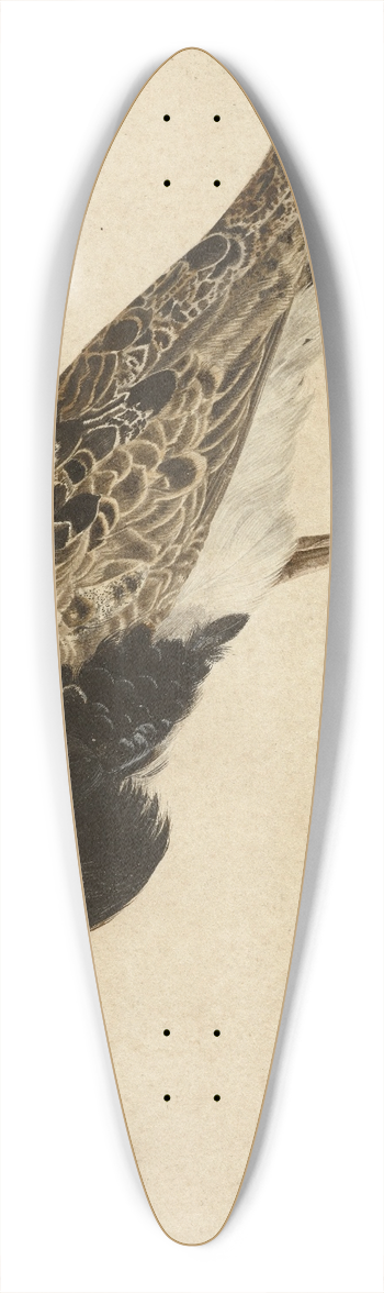 Gerardus van Veen - Standing Ruff 39.3 inch art pintail longboard deck