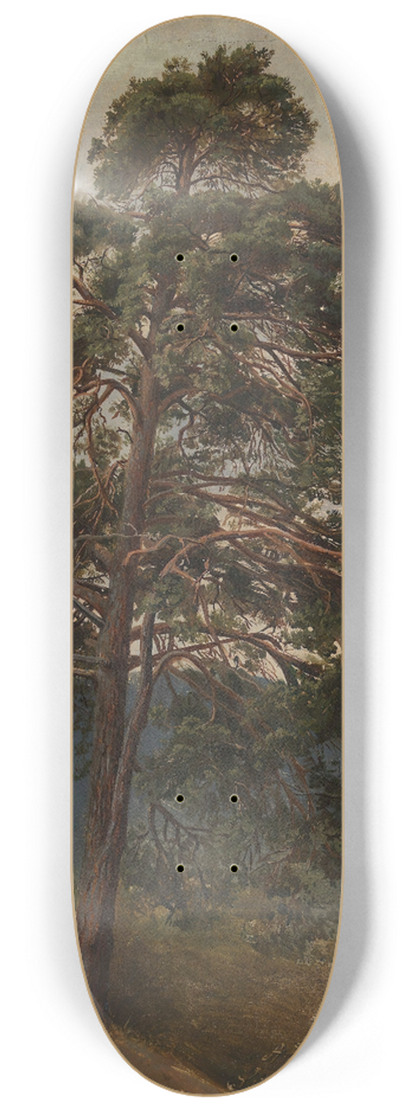 Adolph Tidemand - Study of a Pine Tree 8.25 inch art skate deck