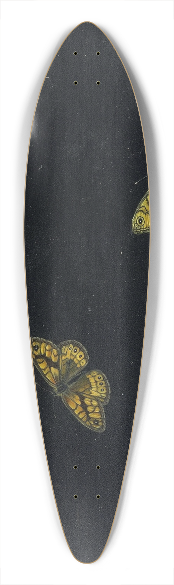Giovanna Garzoni - Zwei Schmetterlinge 39.3 inch art pintail longboard deck
