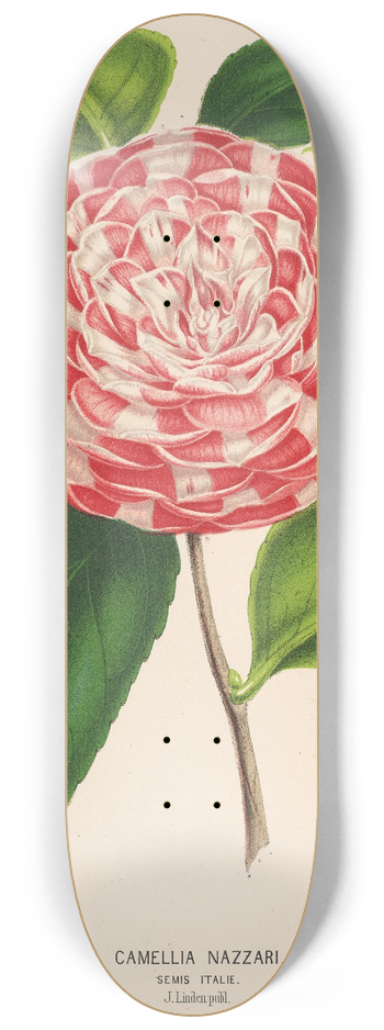 Charles Antoine Lemaire - Camellia Nazzari 8.25 inch art skate deck