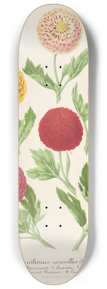 Charles Antoine Lemaire - Chrysanthmes nouvelles dautomne 8.25 inch art skate deck