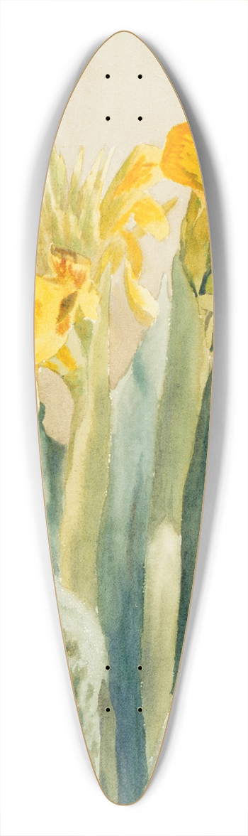 Hannah Borger Overbeck - Cana 39.3 inch art pintail longboard deck