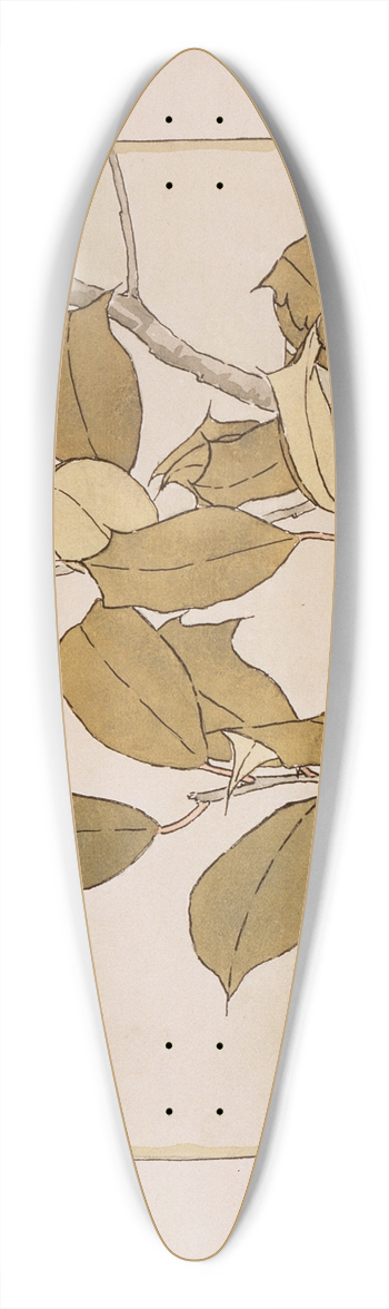 Hannah Borger Overbeck - Holly 39.3 inch art pintail longboard deck