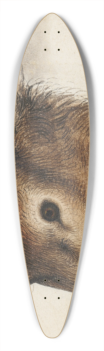 Hans Hug Kluber - Hirschkopf 39.3 inch art pintail longboard deck