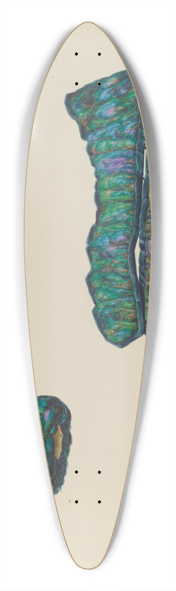 Hans Mangelsdorf - Tippet and Muff 39.3 inch art pintail longboard deck