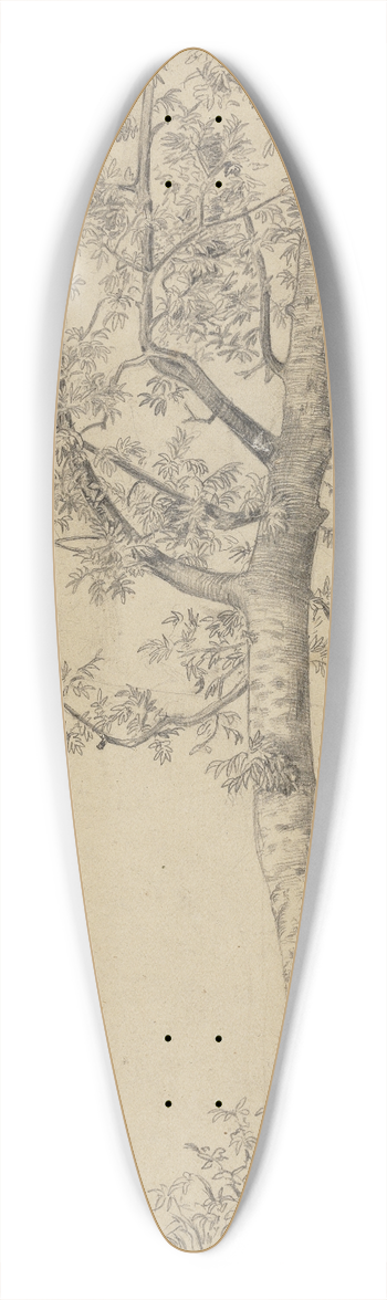 Hans Thoma - Eberesche 39.3 inch art pintail longboard deck