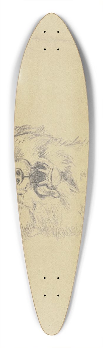 Hans Thoma - Fox head 39.3 inch art pintail longboard deck