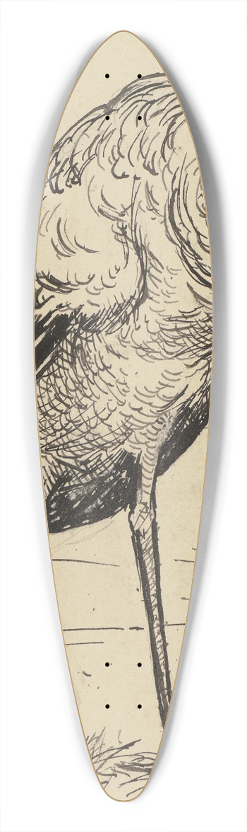 Hans Thoma - Storch 39.3 inch art pintail longboard deck