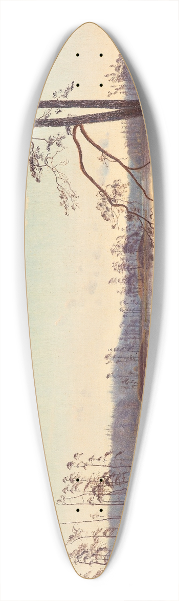 Harald Foss - Summer morning 39.3 inch art pintail longboard deck