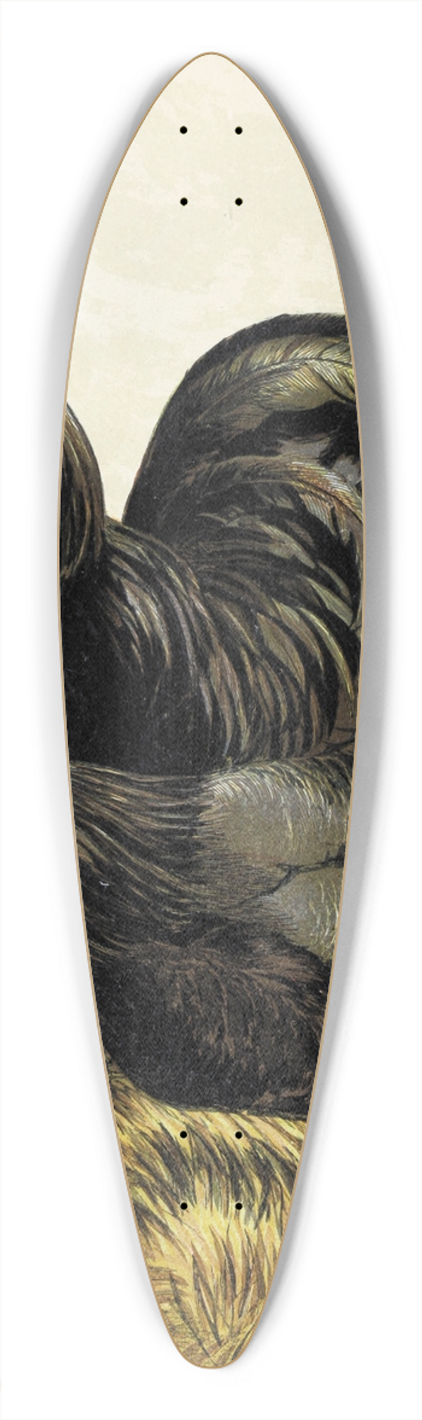 Harrison Weir - La Fleche 39.3 inch art pintail longboard deck