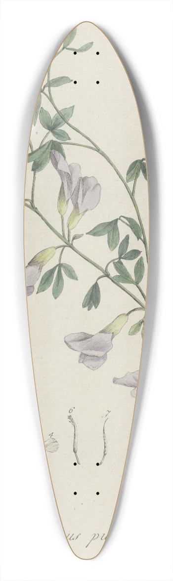 Hendrik Schwegman - Purperen brem 39.3 inch art pintail longboard deck