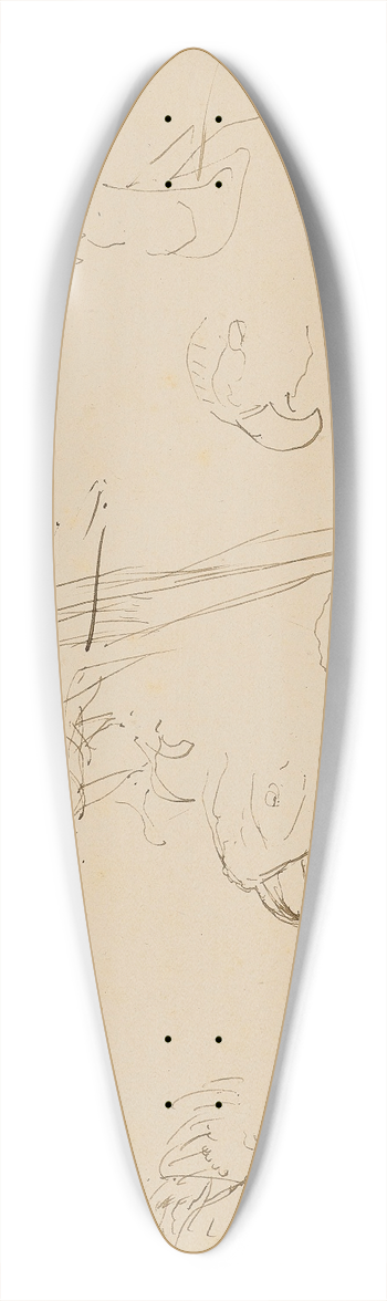 Henri de Toulouse-Lautrec - tude de perroquets 39.3 inch art pintail longboard deck