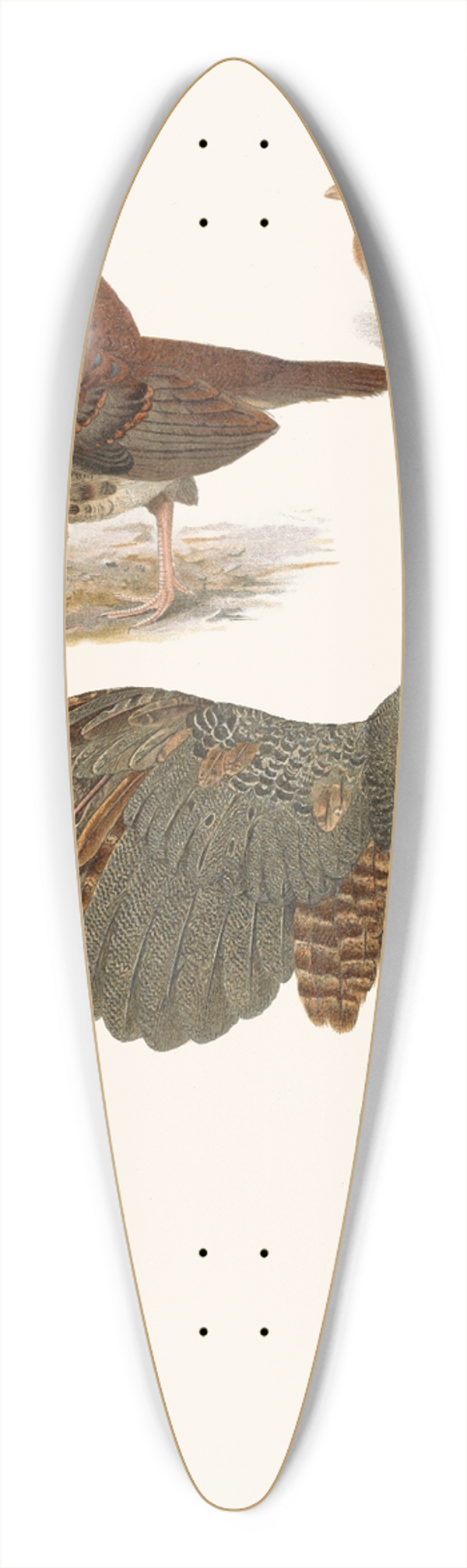 Henrik Gronvold - Plumages Of The Bornean And Siamese Crested Firebacks 39.3 inch art pintail longboard deck
