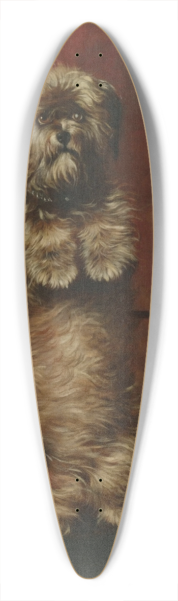 Henry Barraud - Sit Up Sir; Ginger 39.3 inch art pintail longboard deck