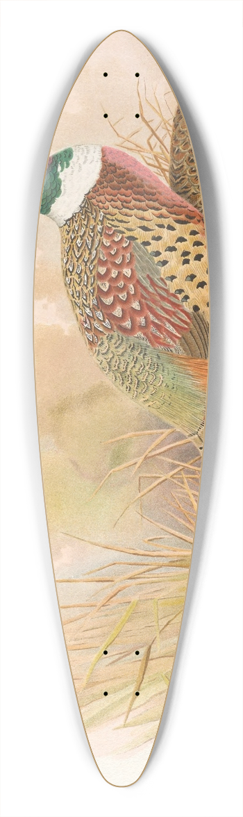 Henry Jones - Kobdo Pheasant 39.3 inch art pintail longboard deck