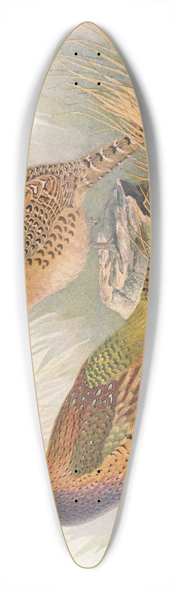Henry Jones - Tarim Pheasant 39.3 inch art pintail longboard deck