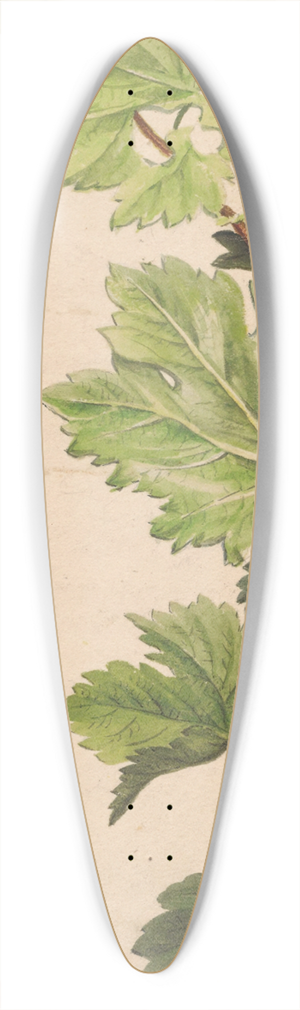 Henryka Beyer - Ivy twig and grapevine twig 39.3 inch art pintail longboard deck