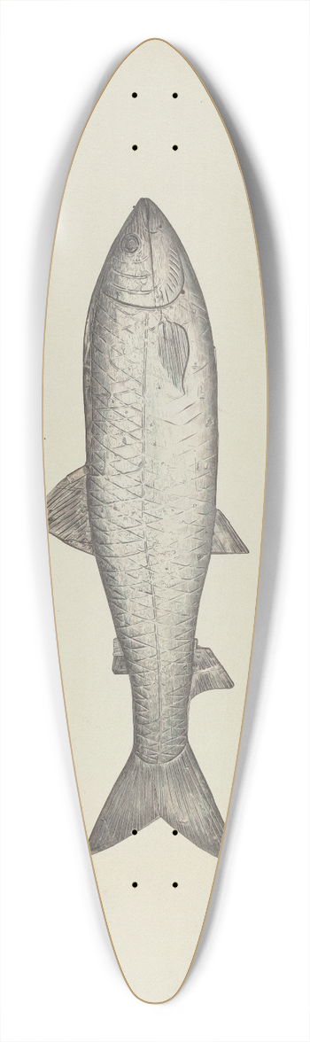 Henry Murphy - Fish Shop Sign 39.3 inch art pintail longboard deck