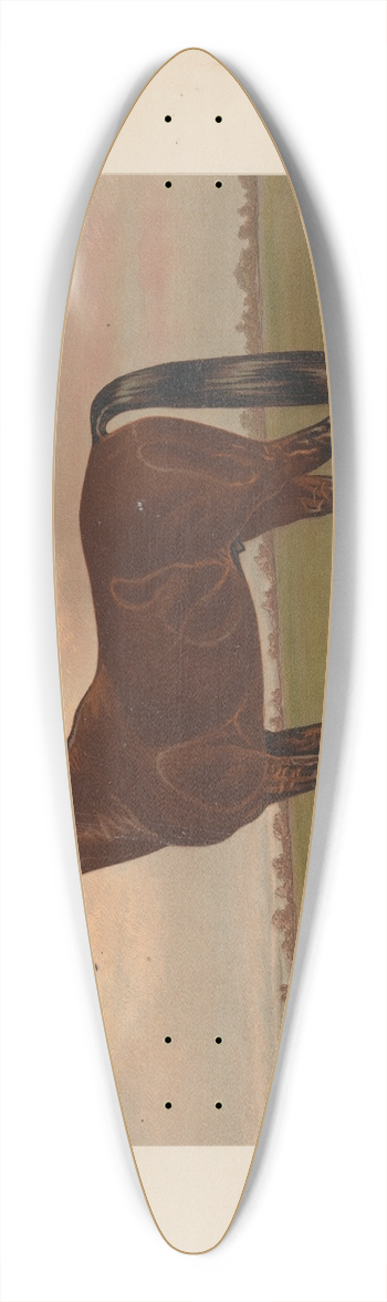 Henry Stull - Almont 39.3 inch art pintail longboard deck