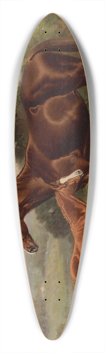 Henry Stull - Castalia and Colt by Uncas 39.3 inch art pintail longboard deck