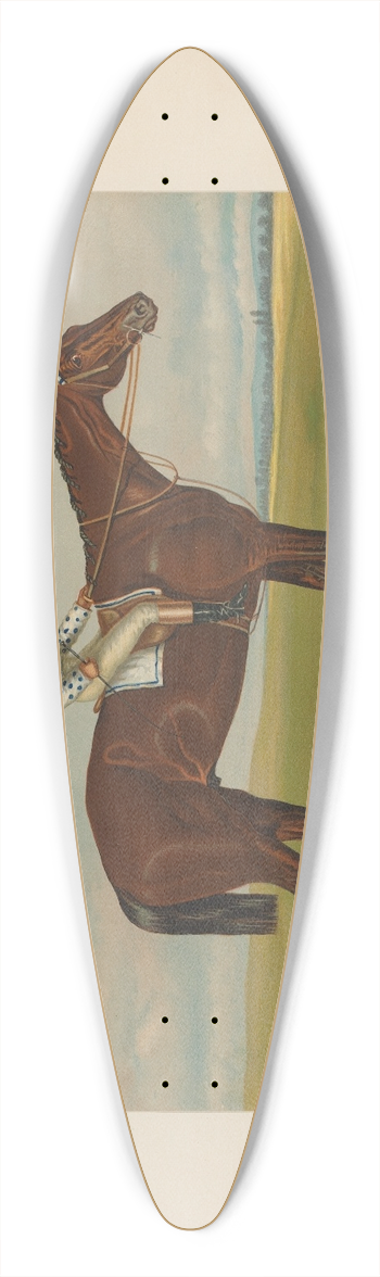 Henry Stull - Foxhall 39.3 inch art pintail longboard deck