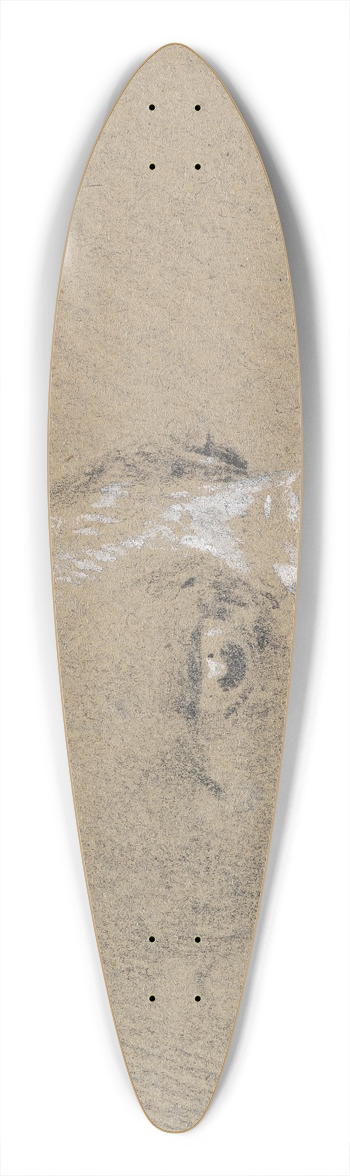 Henry Thomas Alken - Head and Shoulders of a Boxer Dog, Profile Right 39.3 inch art pintail longboard deck
