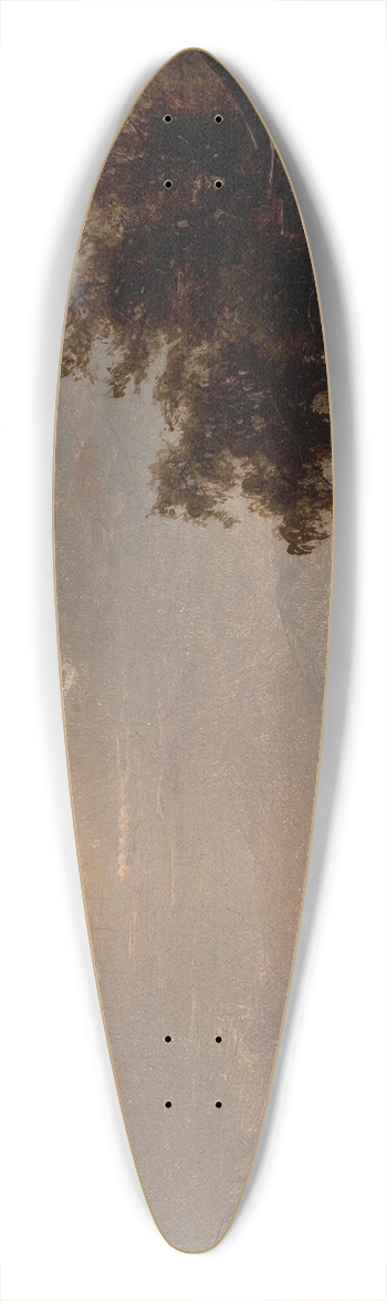 Hermann Fuechsel - Moonlit Lake, White Mountains 39.3 inch art pintail longboard deck