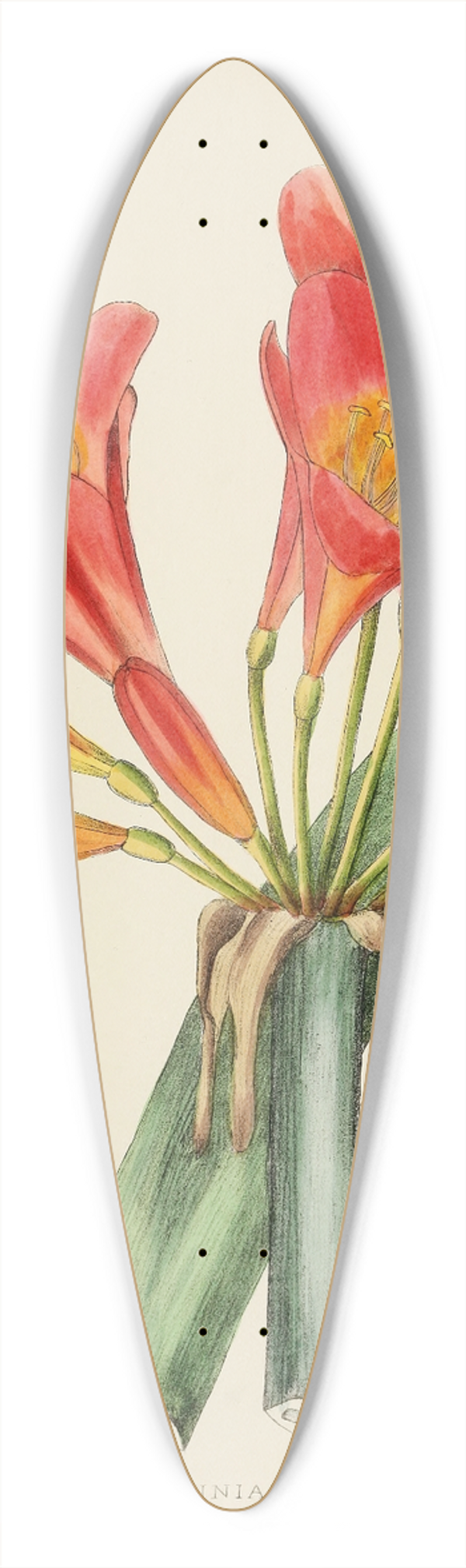 Illtyd Buller Pole-Evans - Clivia Miniata 39.3 inch art pintail longboard deck