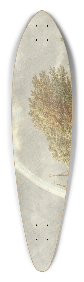 Jacob Cats - Herfst, avond en water 39.3 inch art pintail longboard deck