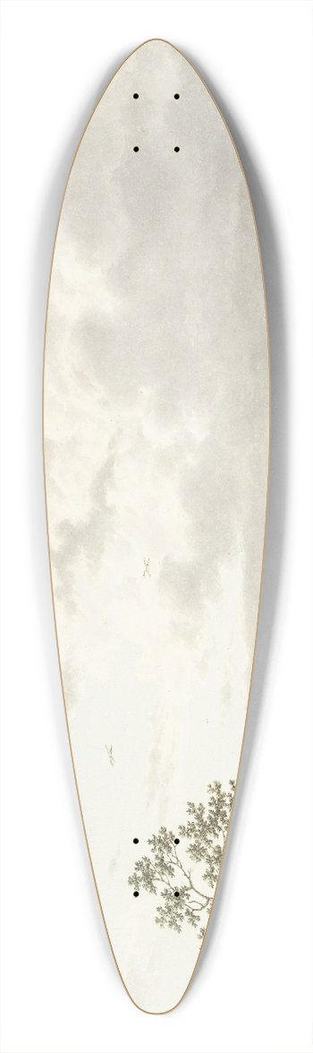 Jacob Cats - Zomer, middag en lucht 39.3 inch art pintail longboard deck