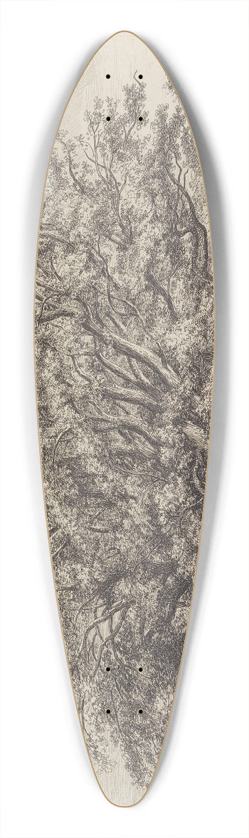 Jacob George Strutt - The Beech Tree at Knole 39.3 inch art pintail longboard deck