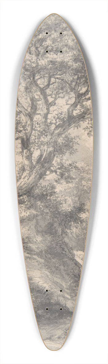 Jacob van Ruisdael - Dune Landscape with Oak Tree 39.3 inch art pintail longboard deck