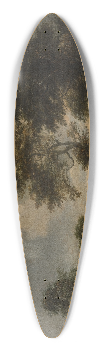 Jacob van Ruisdael - Forest Lake with two Swans 39.3 inch art pintail longboard deck