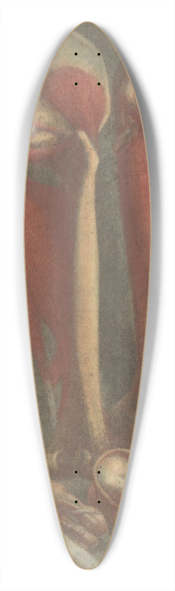 Jacques Fabien Gautier d'Agoty - Anatomical muscle models of the shins and feet 39.3 inch art pintail longboard deck